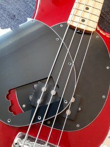 stingray-pickguard.jpg