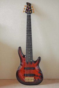 YAMAHA TRB-6 Custom.jpg