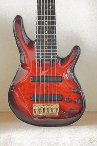 YAMAHA TRB-6 Custom Body.jpg