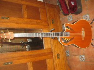 Ovation Akustik Bass B768 Elite