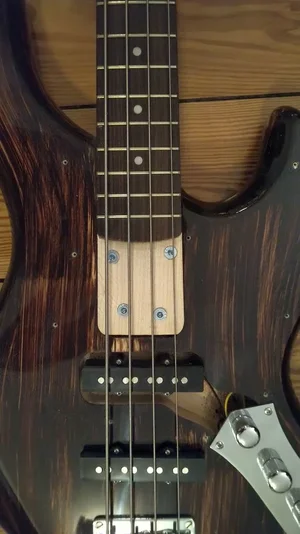 hora bass genau (1).webp