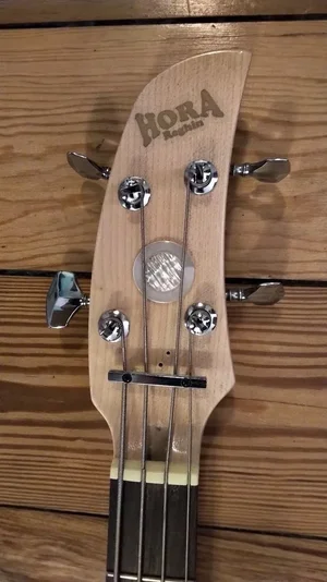 hora bass genau (6).webp