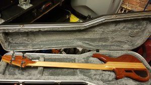 FS: Alembic Essence 4 string