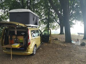 IMG_20200804_094824.jpg