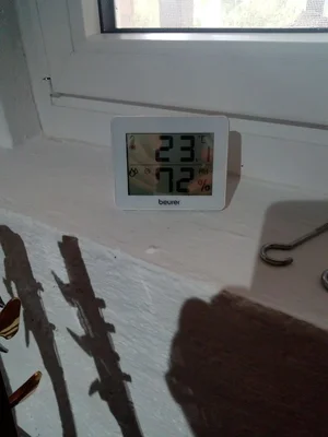 IMG_20200813_191629263.webp IMG_20200813_191629263.webp