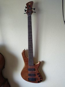 IMG_20200625_145619312.jpg IMG_20200625_145619312.jpg