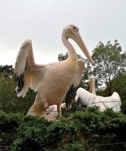 IMG_20200815_191421.jpg IMG_20200815_191421.jpg