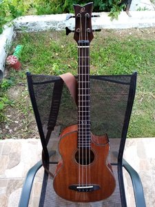 ortega d-walcker acoustic bass mit extras auch tausch