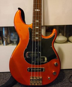 20200913_203549-01.jpeg 20200913_203549-01.jpeg