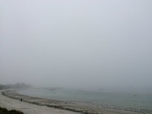 636EDB80-77CA-4265-90F1-CD963624F714.jpeg 636EDB80-77CA-4265-90F1-CD963624F714.jpeg