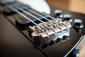 20200916-Gibson_Thunderbird-Bass-13M. Goehre.jpg