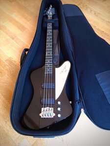 Thunderbird_gigbag1.jpg Thunderbird_gigbag1.jpg