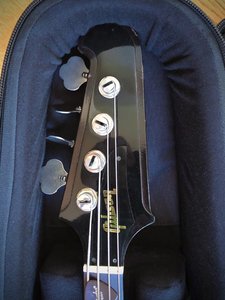 Thunderbird_gigbag3.jpg