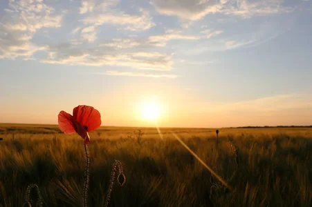 IMG_0829 - Kopie.webp