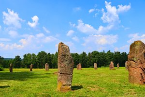 IMG_1135A.jpg IMG_1135A.jpg