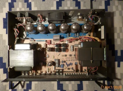 PEAVEY Alpha Bass  (7).webp