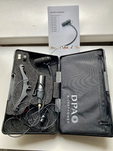 DPA d:vote 4099 Bass