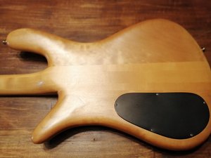IMG_20201020_160159.jpg