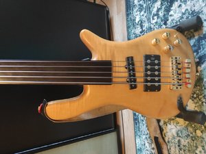 Warwick Streamer Jazzman 5Saitig fretless