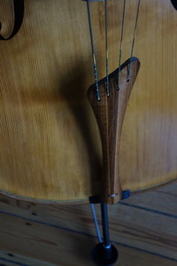 Detail_1.JPG Detail_1.JPG