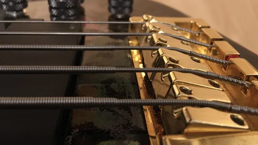 050416F6-558D-4ADD-BDBB-D267AFAAF8BF.jpeg 050416F6-558D-4ADD-BDBB-D267AFAAF8BF.jpeg