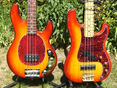 Bassfotos 2011-05 003.webp