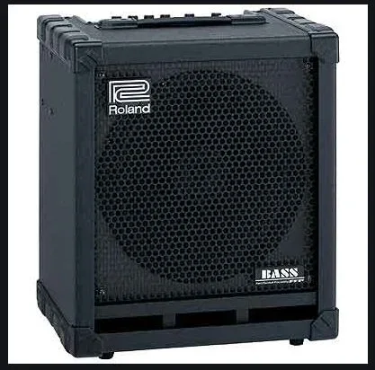 Tausche/Verkaufe Roland Cube 100