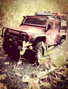 IMG_20201004_161716.jpg IMG_20201004_161716.jpg