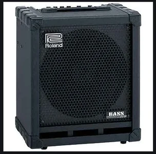 Tausche/Verkaufe Roland Cube 100