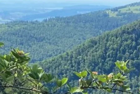 Bielersee.webp Bielersee.webp