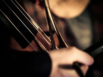 22206847jj.webp 22206847jj.webp