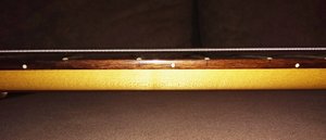 IMG_20201120_184540680.jpg