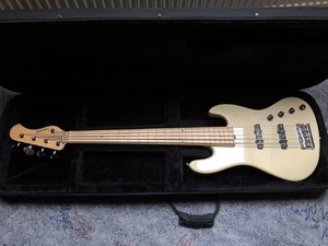Sadowsky Metro 24 String