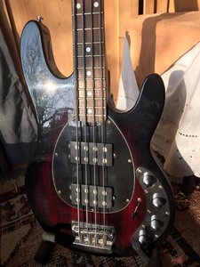 OLP Musicman Stingray HH mit aktiv 3-Band Elektronik - Bitte Angebote machen