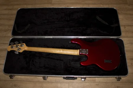 Stingray 1_small.webp