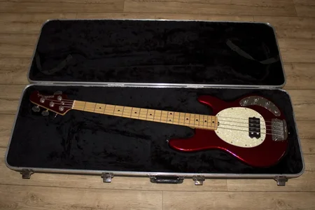 Stingray 2_small.webp