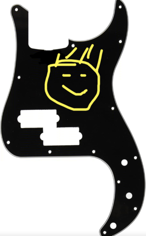 Preci Pickguard schwarz (schon erledigt)