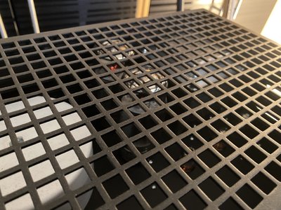 IMG_9814.jpeg IMG_9814.jpeg