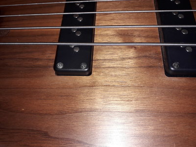 20201016_105550.jpg
