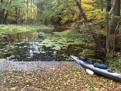 IMG_8544 - Kopie.webp