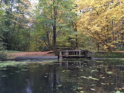 IMG_8542 - Kopie.webp