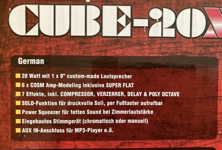 Roland Bass Cube 20 XL