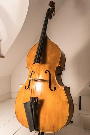 kontrabass-1.webp