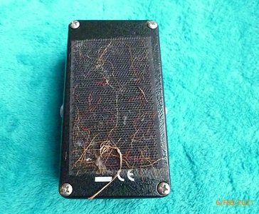 XOTIC BB Bass Preamp  (2).JPG