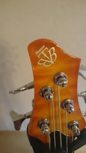 Ibanez 5.webp