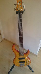 Ibanez 6.JPG