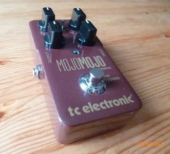 TC electronic MojoMojo (1).JPG