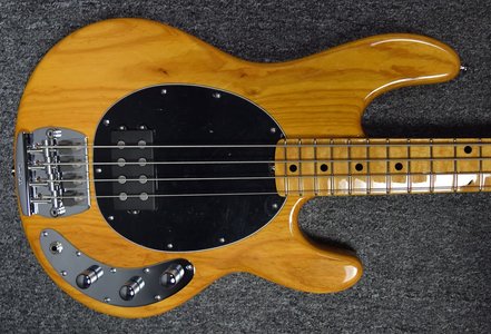 Suche Musicman Stingray