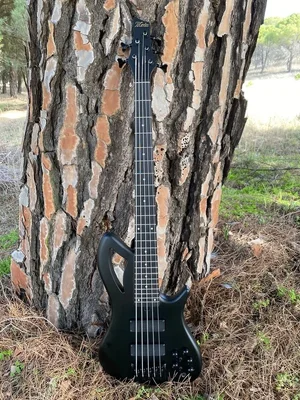 WhatsApp Image 2021-02-18 at 14.12.21.webp