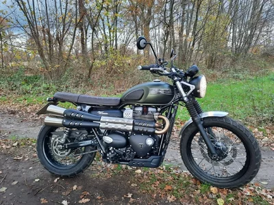 Scrambler with buddyseat.webp